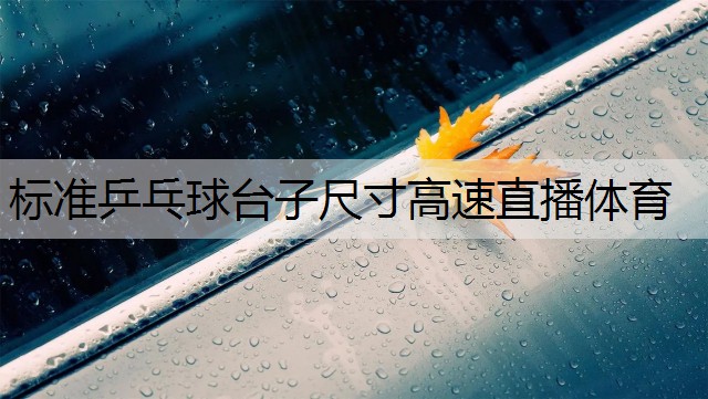 <strong>标准乒乓球台子尺寸高速直播体育</strong>